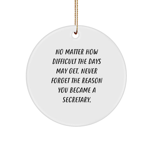 Funny Secretary Christmas Circle Ornament Gifts from Men to Friends and Family, Never Forget the Reason You Became a Secretary - Image 1