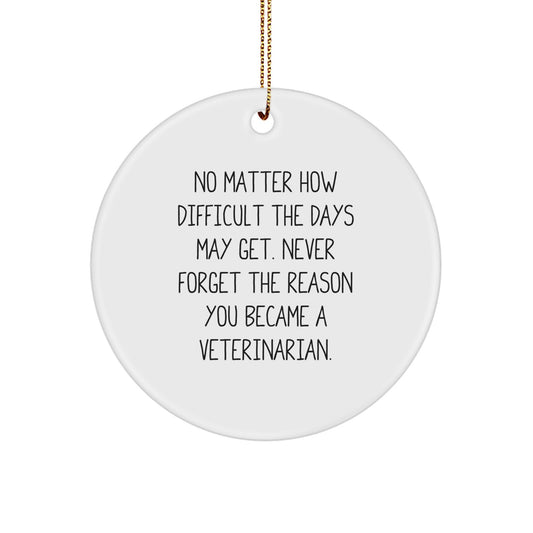 Inspirational Veterinarian Gifts for Men, Women, Friends, Coworkers - Funny Circle Ornament for Christmas, Gifts from Family, Gifts for Veterinarian - Image 1