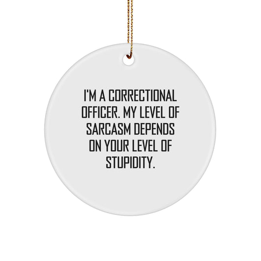 Correctional Officer Gifts, Funny Circle Ornament, Gifts from Men to Correctional Officer, Perfect Inspirational Gift for Christmas - Image 1