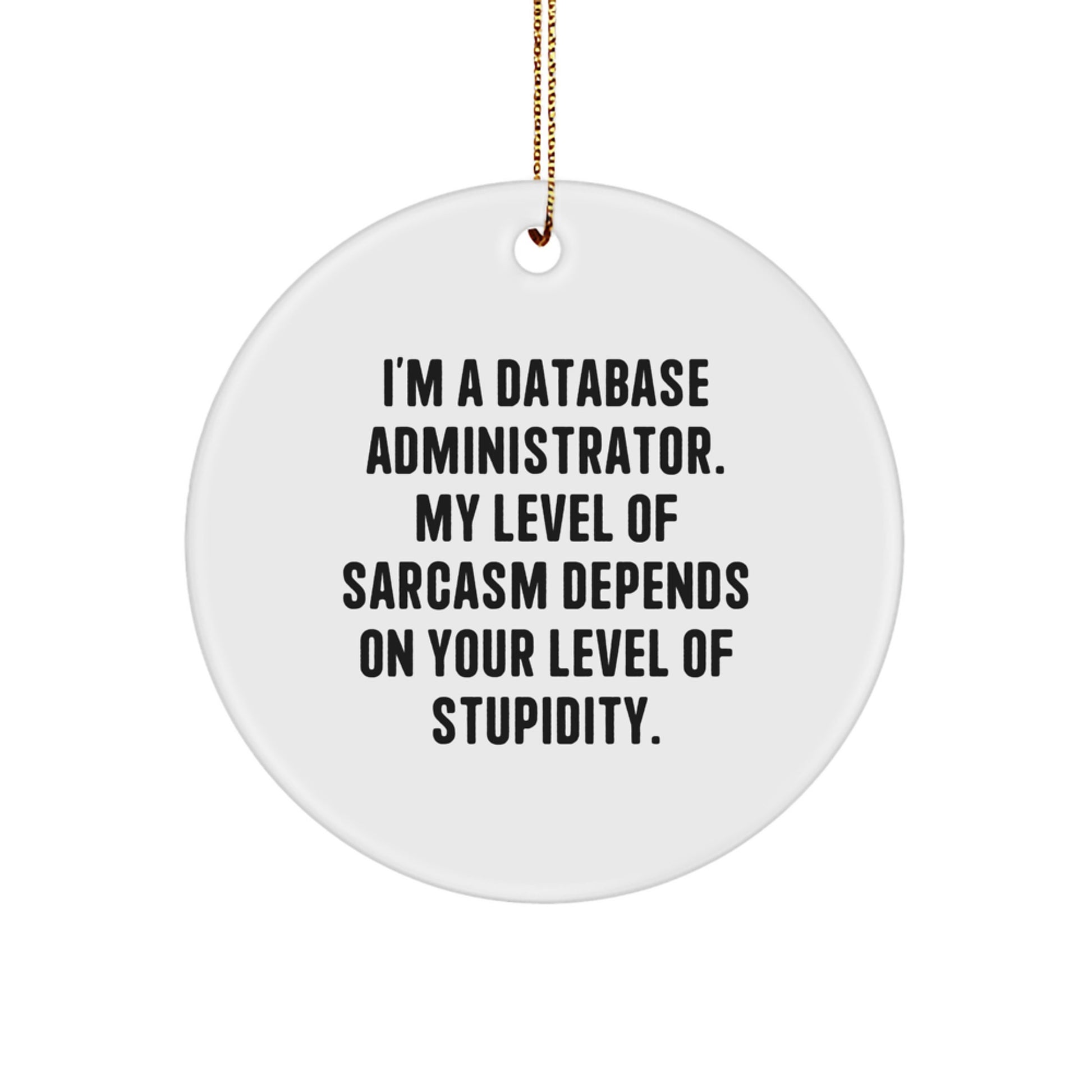 Unique Gifts from Family for Database Administrator, Funny 'I'm A Database Administrator. My Level Of Sarcasm Depends On Your Level Of Stupidity.' Christmas Circle Ornament - Image 1