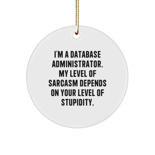 Unique Gifts from Family for Database Administrator, Funny 'I'm A Database Administrator. My Level Of Sarcasm Depends On Your Level Of Stupidity.' Christmas Circle Ornament - Image 1