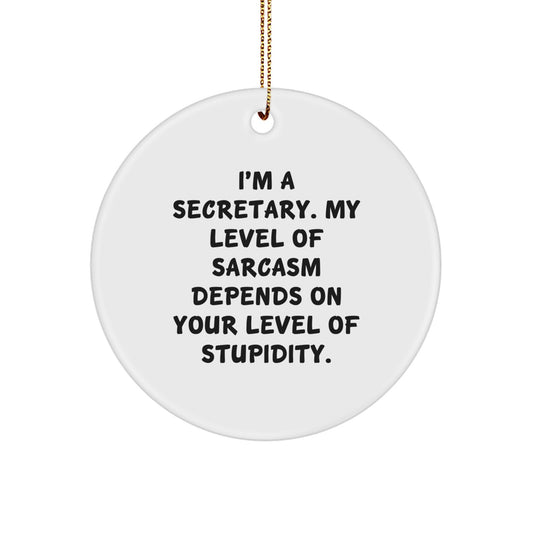 Funny Secretary Gifts from Friends Circle Ornament, Inspirational Quote for Secretary, Christmas Unique Gifts for Secretary, Secretary Christmas Unique Gift Ideas - Image 1