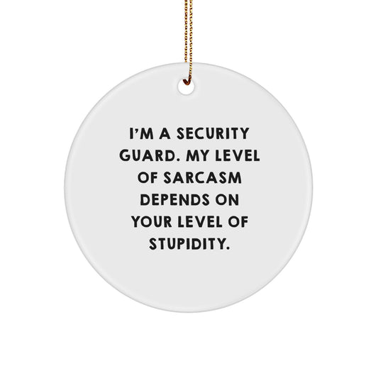 Funny Security Guard Gifts, Security Guard Sarcasm Circle Ornament, Gifts from Men to Security Guards for Christmas, Christmas Unique Security Guard Gifts - Image 1
