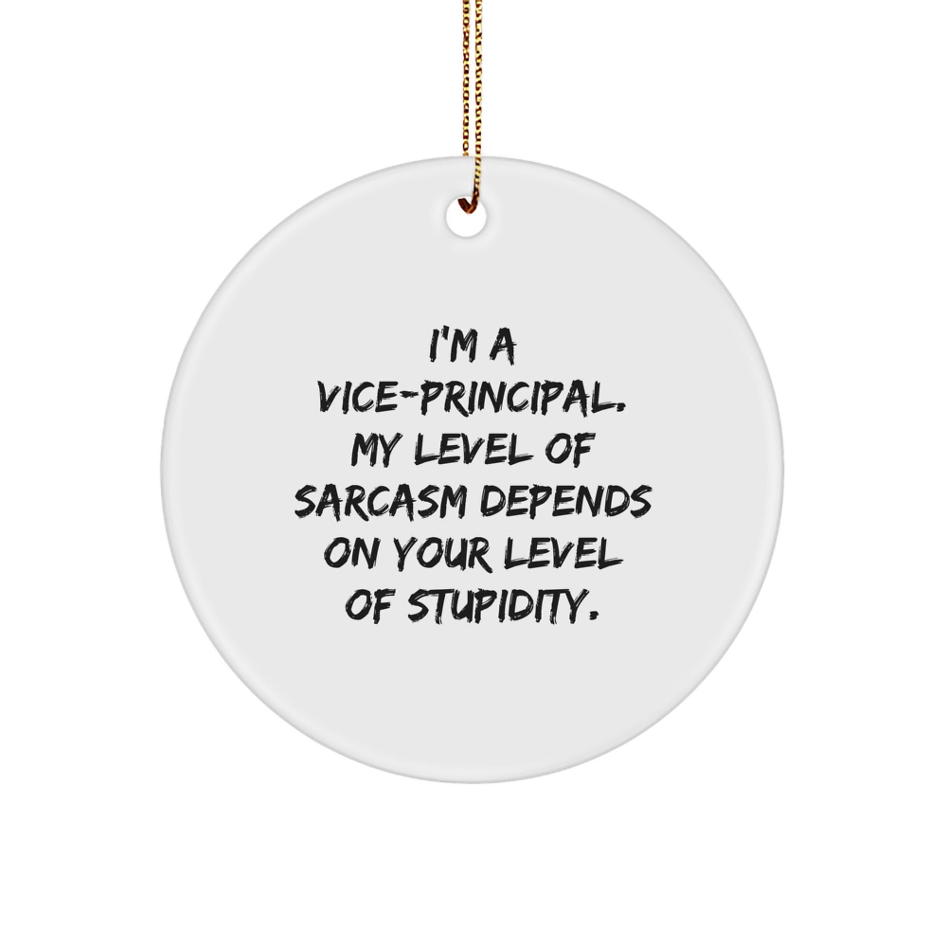 Funny Vice-principal Gifts for Men from Friends - I'm A Vice-principal. My Level Of Sarcasm Depends On Your Level Of Stupidity. Christmas Circle Ornament - Image 1