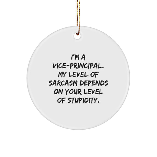 Funny Vice-principal Gifts for Men from Friends - I'm A Vice-principal. My Level Of Sarcasm Depends On Your Level Of Stupidity. Christmas Circle Ornament - Image 1