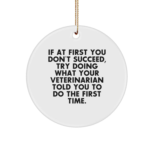 Funny Veterinarian Gifts from Men, Gifts for Veterinarians, Christmas Unique Ornament, 'If At First You Don't Succeed, Try Doing What Your Veterinarian Told You To Do The First Time.' - Image 1