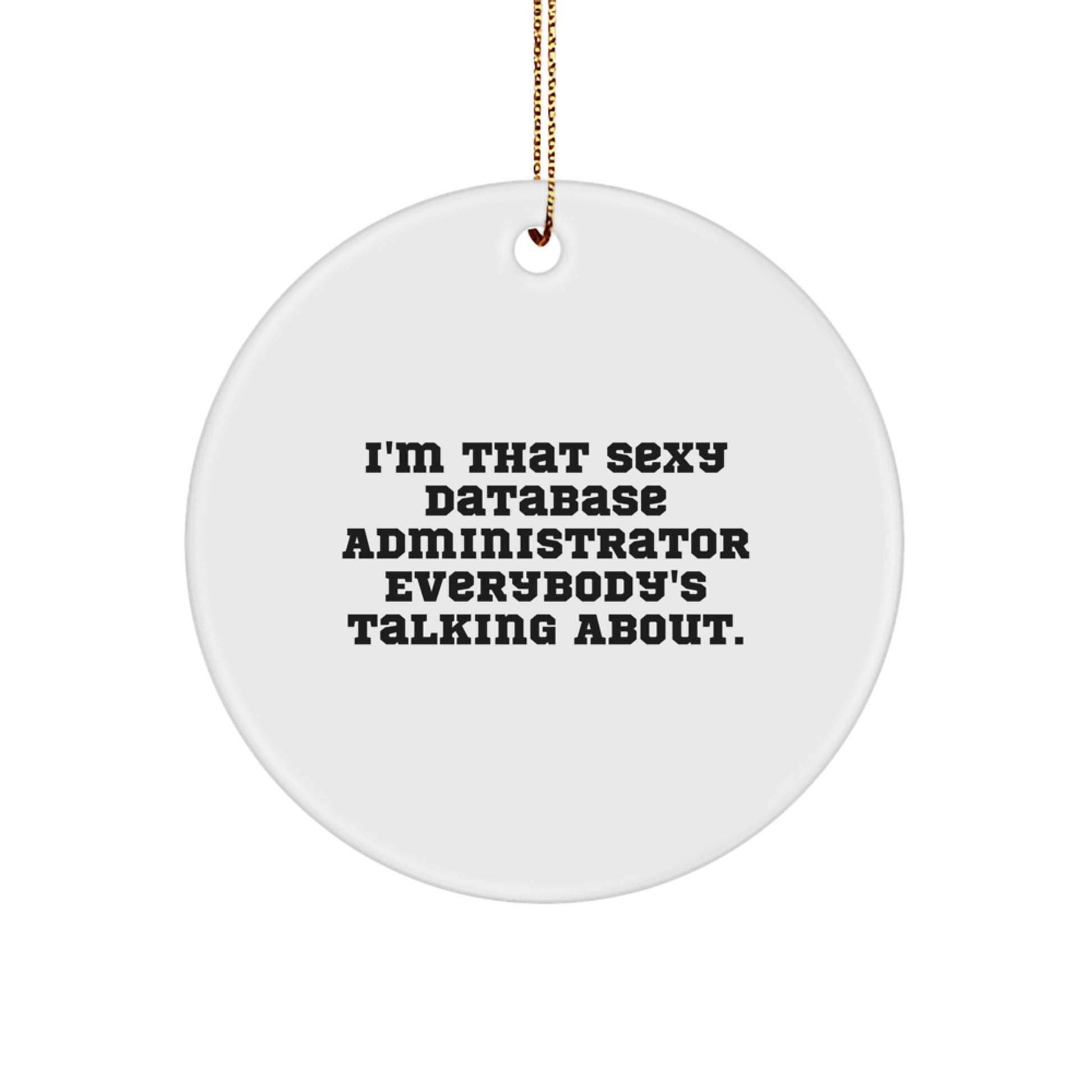 Database Administrator Gifts from Friends, I'm That Sexy Database Administrator Everybody's Talking About. Circle Ornament for Christmas - Image 1