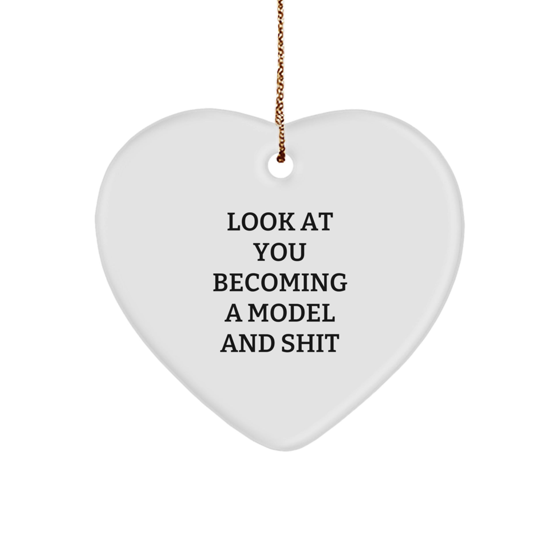 Funny Model Heart Ornament Gifts from Friends, Christmas Unique Model Gifts for Men - Image 1