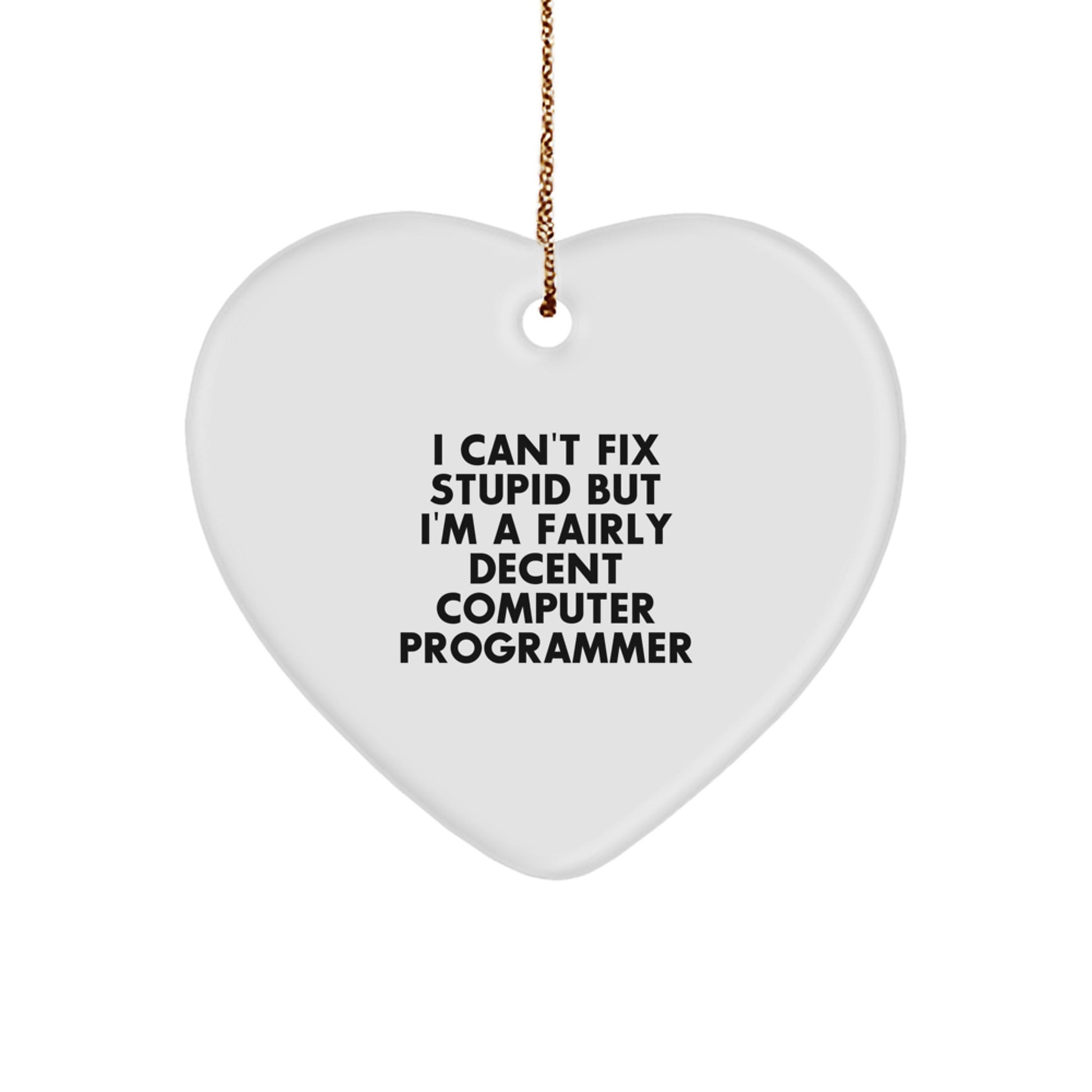Computer Programmer Humor Gifts from Men to Coworkers, Heart Ornament with I Can't Fix Stupid but I'm a Fairly Decent Computer Programmer Quote, Christmas Unique Gifts for Friends and Family - Image 1