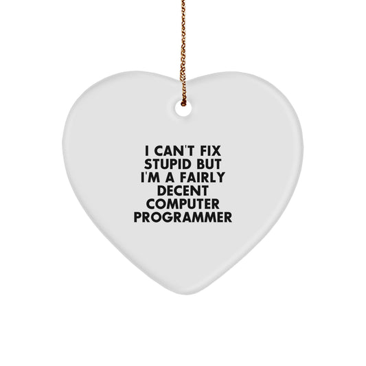 Computer Programmer Humor Gifts from Men to Coworkers, Heart Ornament with I Can't Fix Stupid but I'm a Fairly Decent Computer Programmer Quote, Christmas Unique Gifts for Friends and Family - Image 1