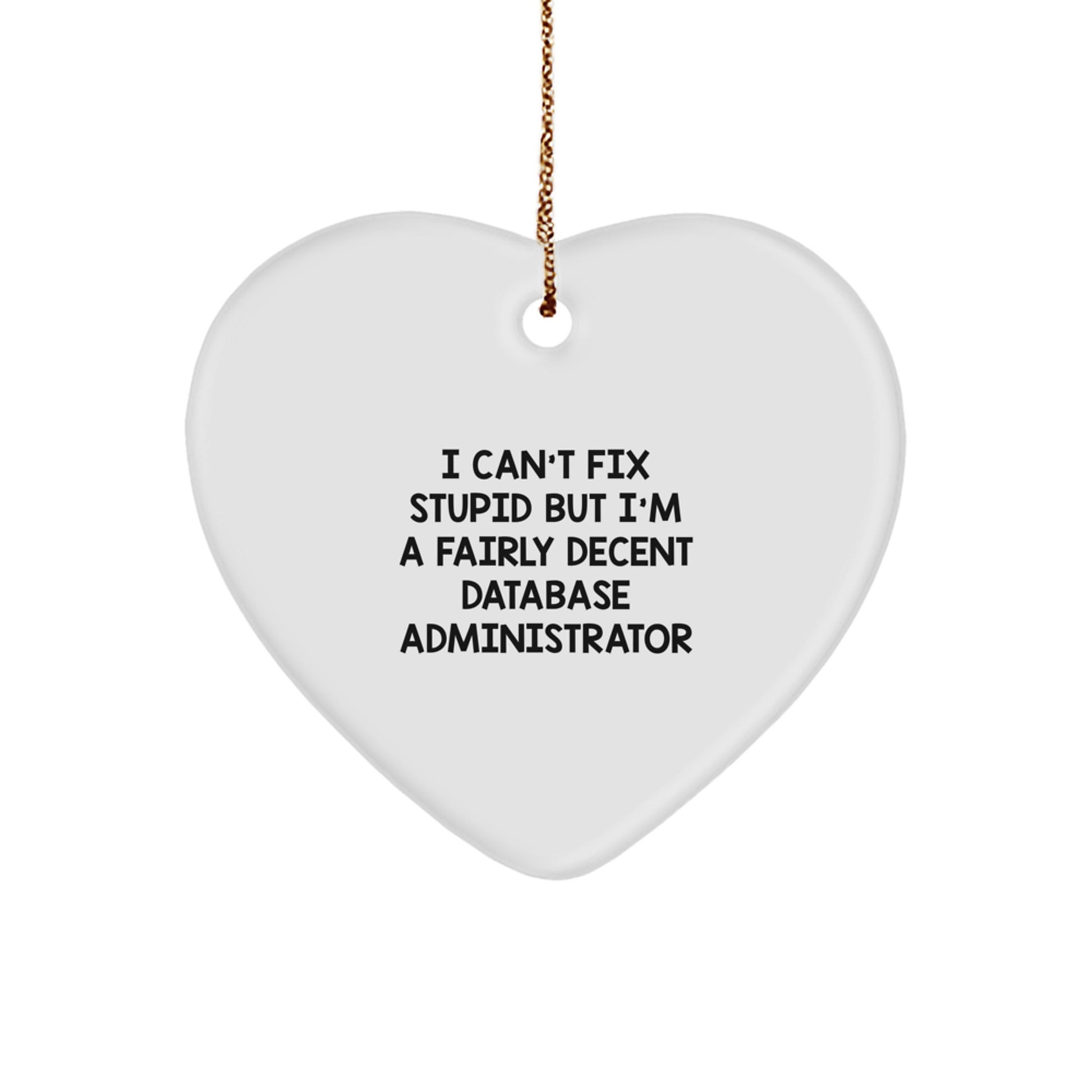 Funny Database Administrator Heart Ornament Gifts from Friends for Christmas - 'I Can't Fix Stupid But I'm A Fairly Decent Database Administrator' Quote - Image 1