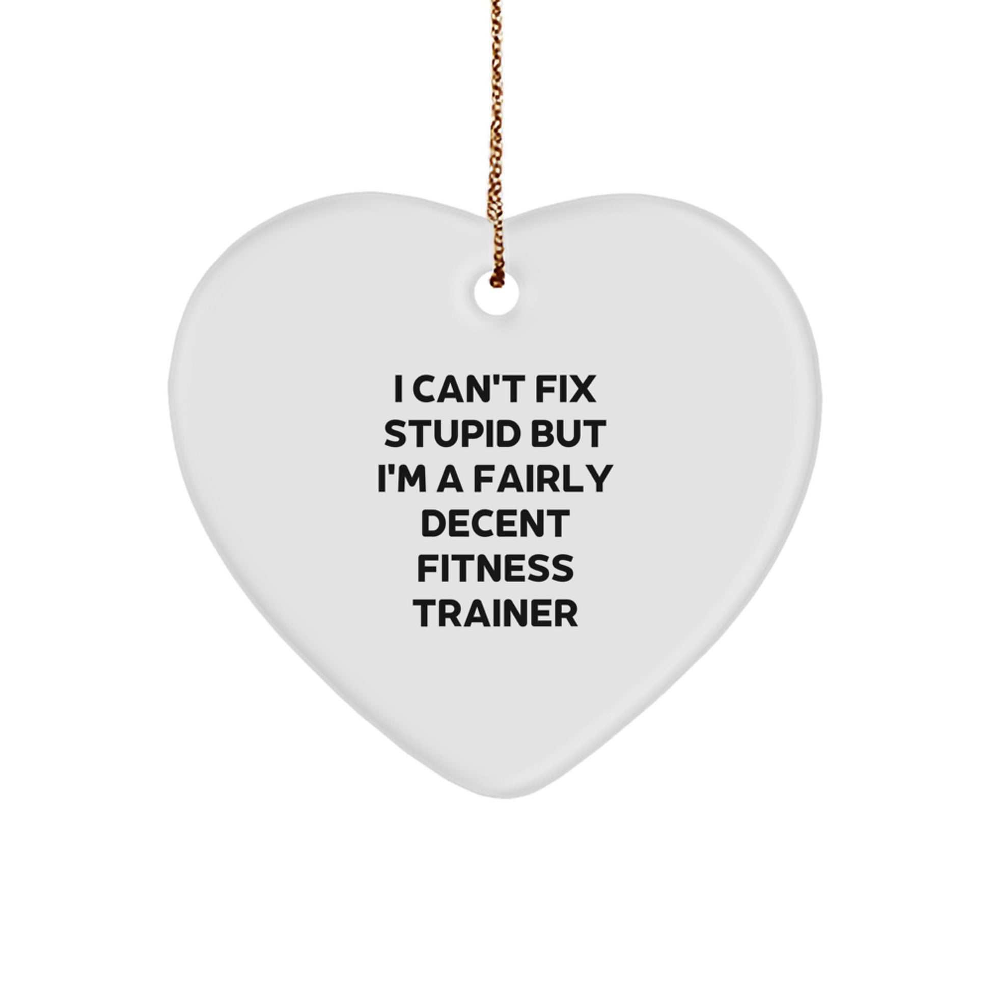 Funny Fitness Trainer Gift - 'I Can't Fix Stupid' Heart Ornament for Men or Women, Christmas Unique Gifts from Friends or Family - Image 1