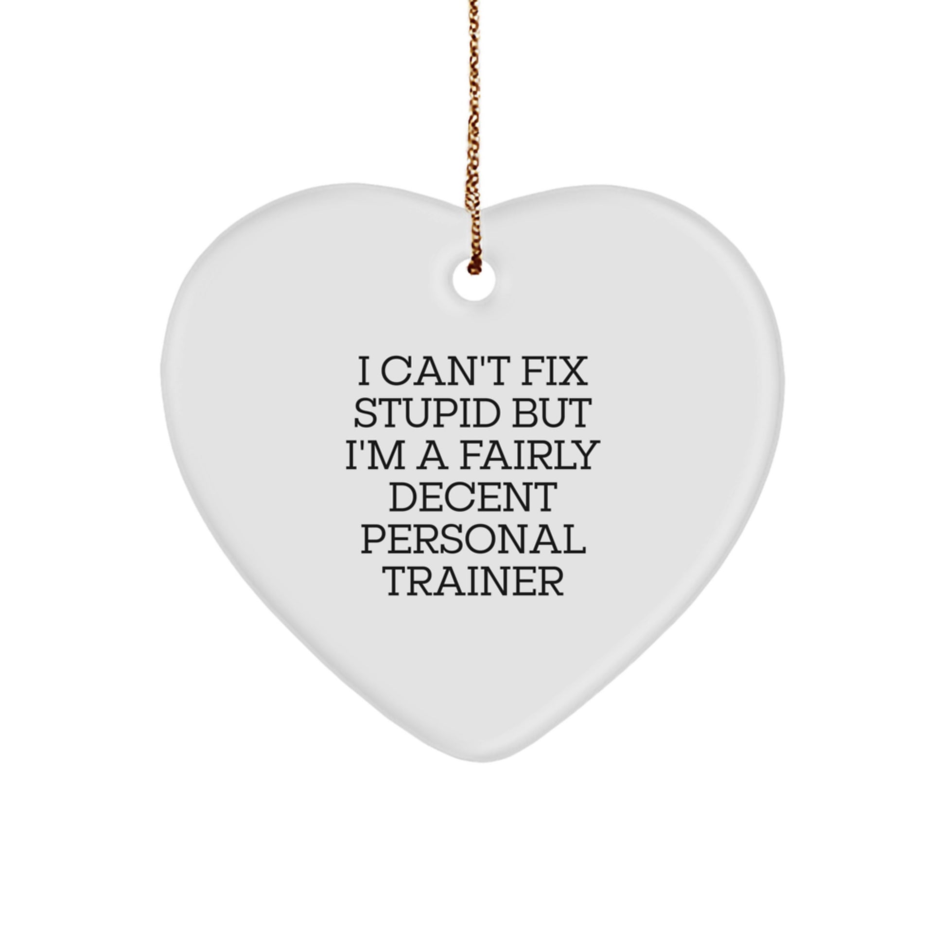 Funny Personal Trainer Gifts from Friends for Christmas - Heart Ornament with 'I Can't Fix Stupid But I'm A Fairly Decent Personal Trainer' Quote, Personal Trainer Gifts for Men or Women - Image 1
