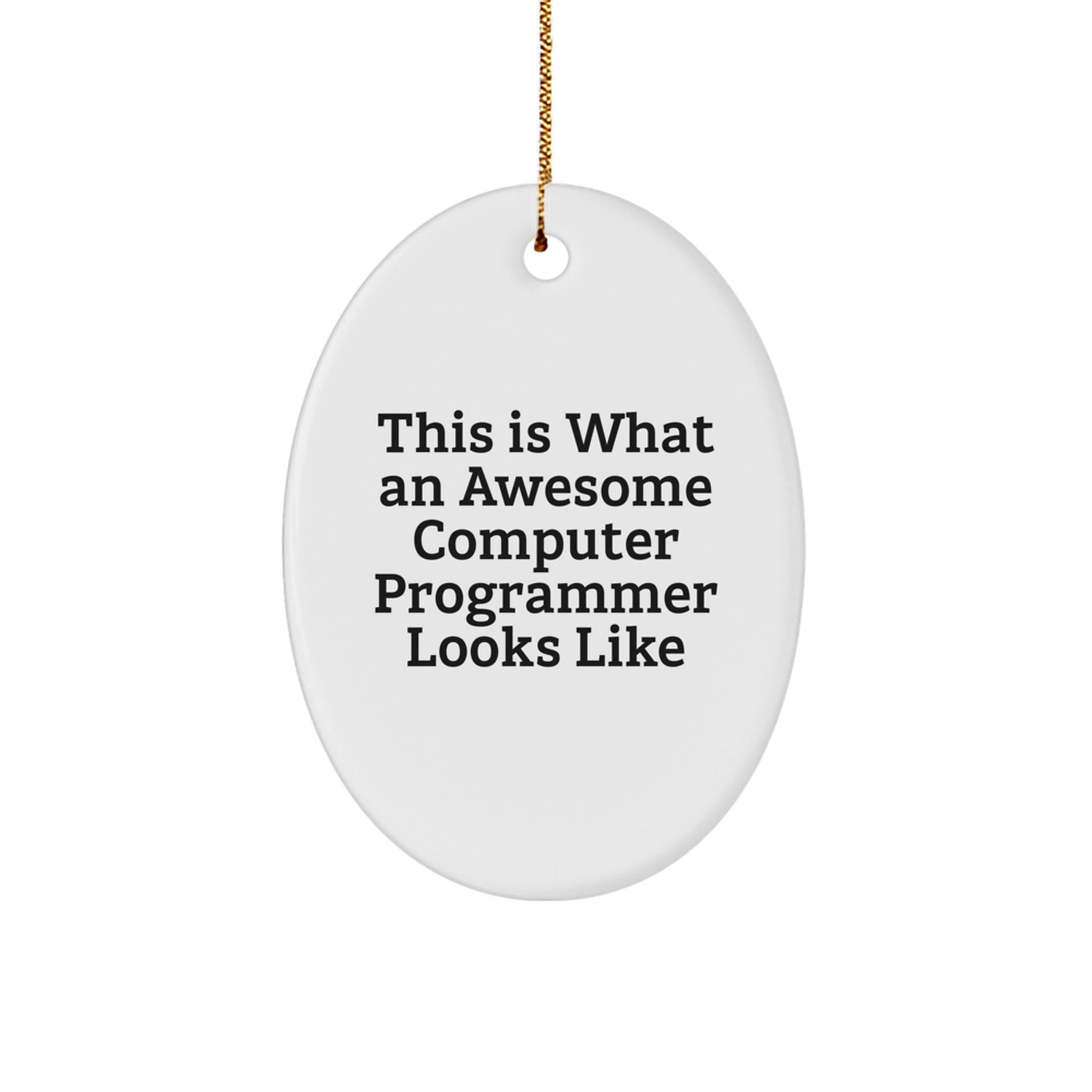 Funny Computer Programmer Gifts from Friends, 'This Is What An Awesome' Oval Ornament for Men, Women, or Coworkers, Christmas Unique Present Ideas - Image 1