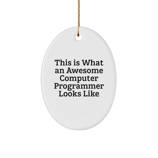 Funny Computer Programmer Gifts from Friends, 'This Is What An Awesome' Oval Ornament for Men, Women, or Coworkers, Christmas Unique Present Ideas - Image 1