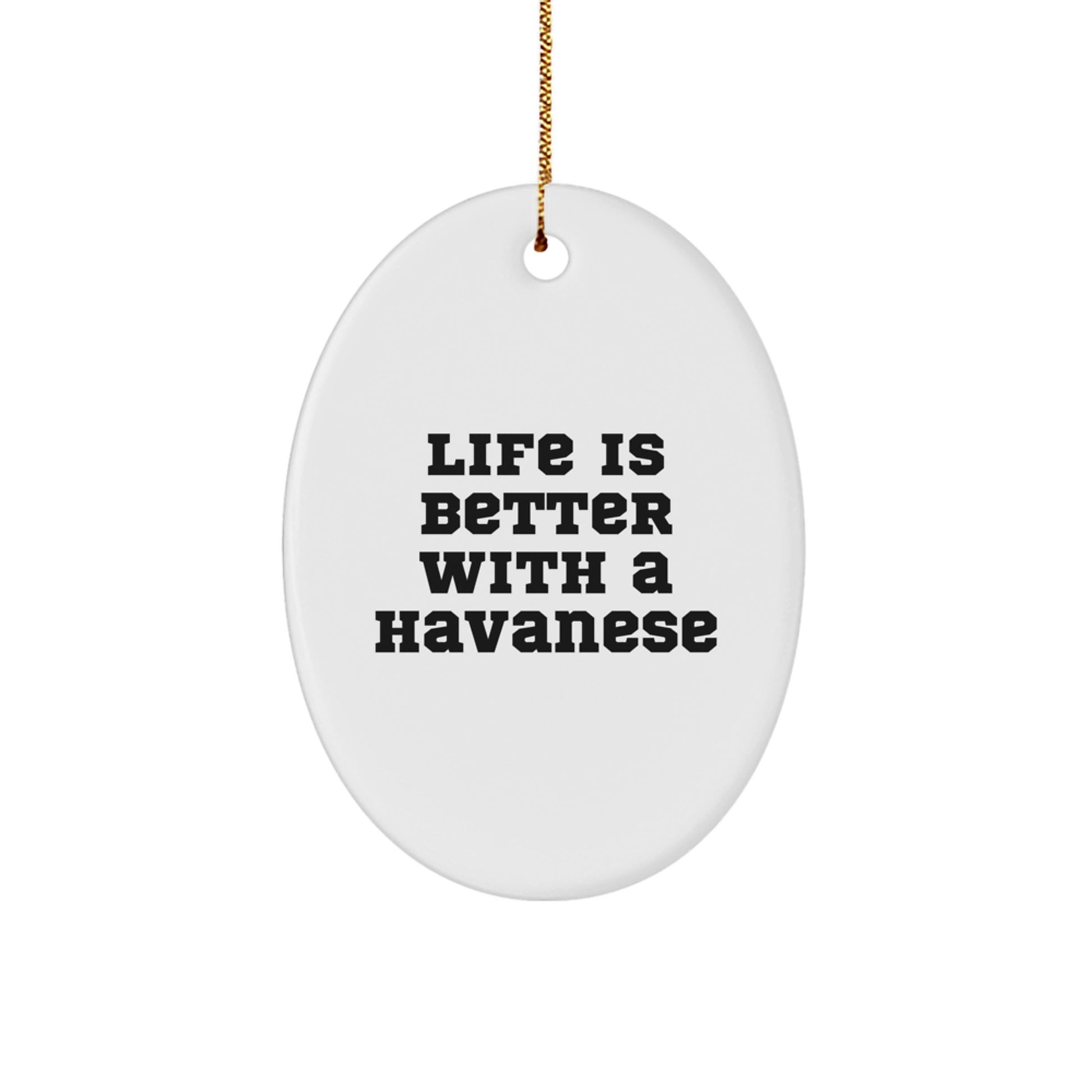 Havanese Dog Lovers Gifts from Men to Family - Oval Ornament with Life Is Better With A Havanese Quote for Christmas - Image 1