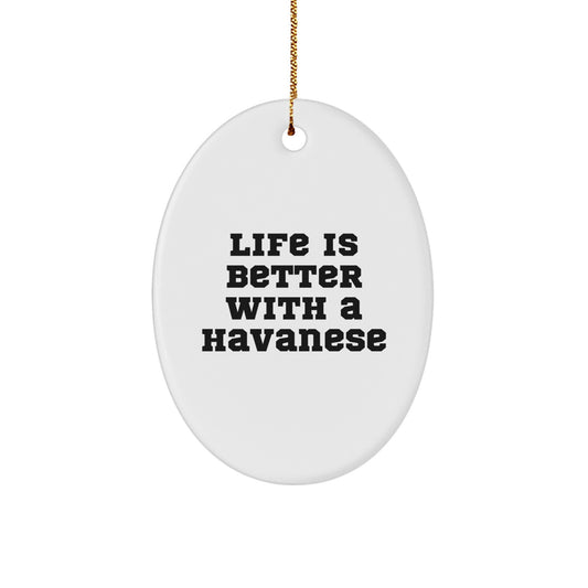 Havanese Dog Lovers Gifts from Men to Family - Oval Ornament with Life Is Better With A Havanese Quote for Christmas - Image 1