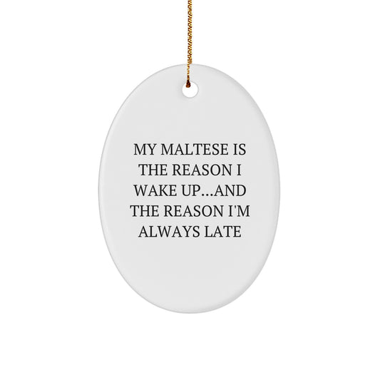 Funny Maltese Dog Gifts for Men from Friends - Oval Ornament My Maltese Is The Reason I Wake Up, Christmas Unique Gifts - Image 1