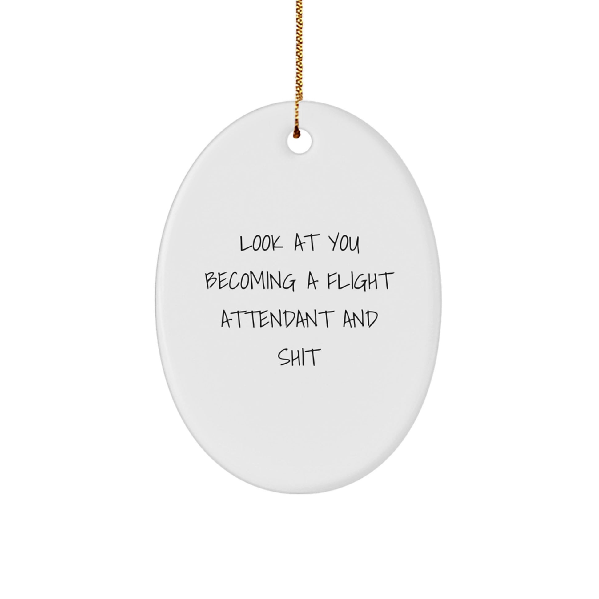 Flight Attendant Gifts from Friends to Flight Attendants, Funny Oval Ornament for Christmas Unique Gifts - Image 1