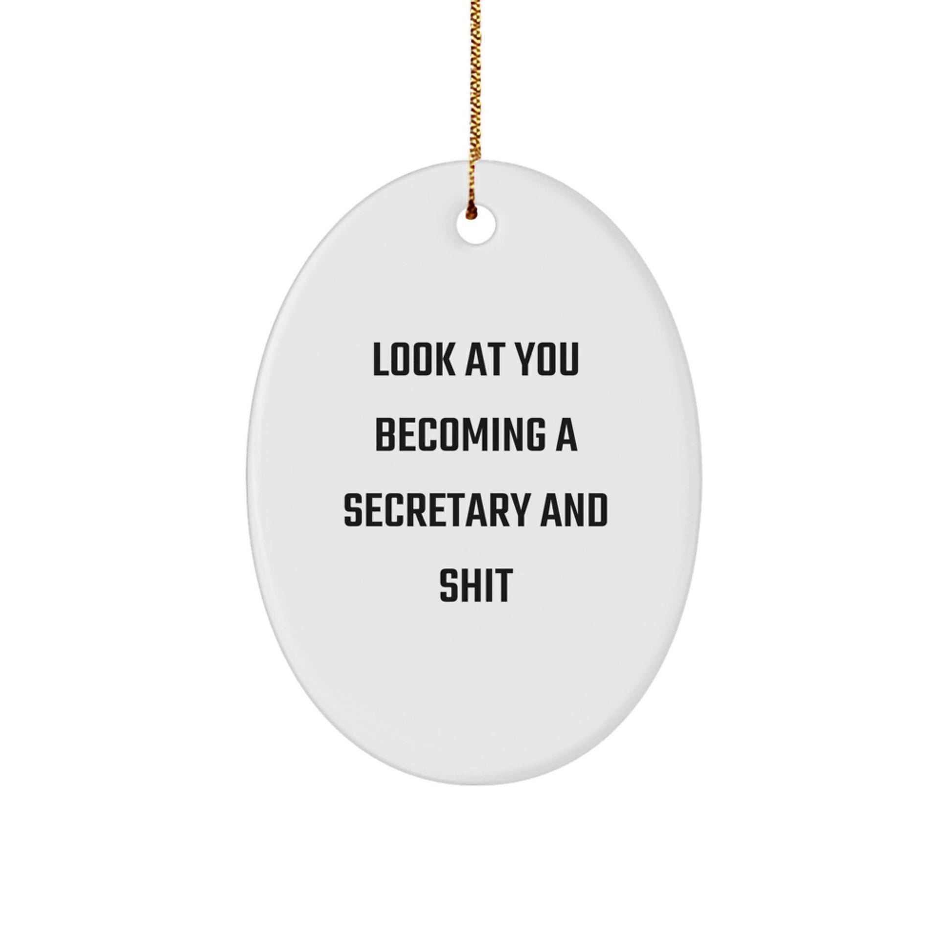 Funny Secretary Oval Ornament Gifts from Friends for Secretary, Christmas Unique Secretary Presents, Oval Ornament for Secretary - Image 1