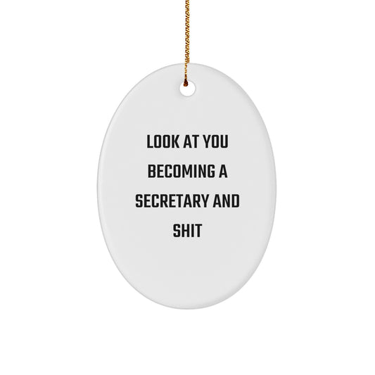 Funny Secretary Oval Ornament Gifts from Friends for Secretary, Christmas Unique Secretary Presents, Oval Ornament for Secretary - Image 1