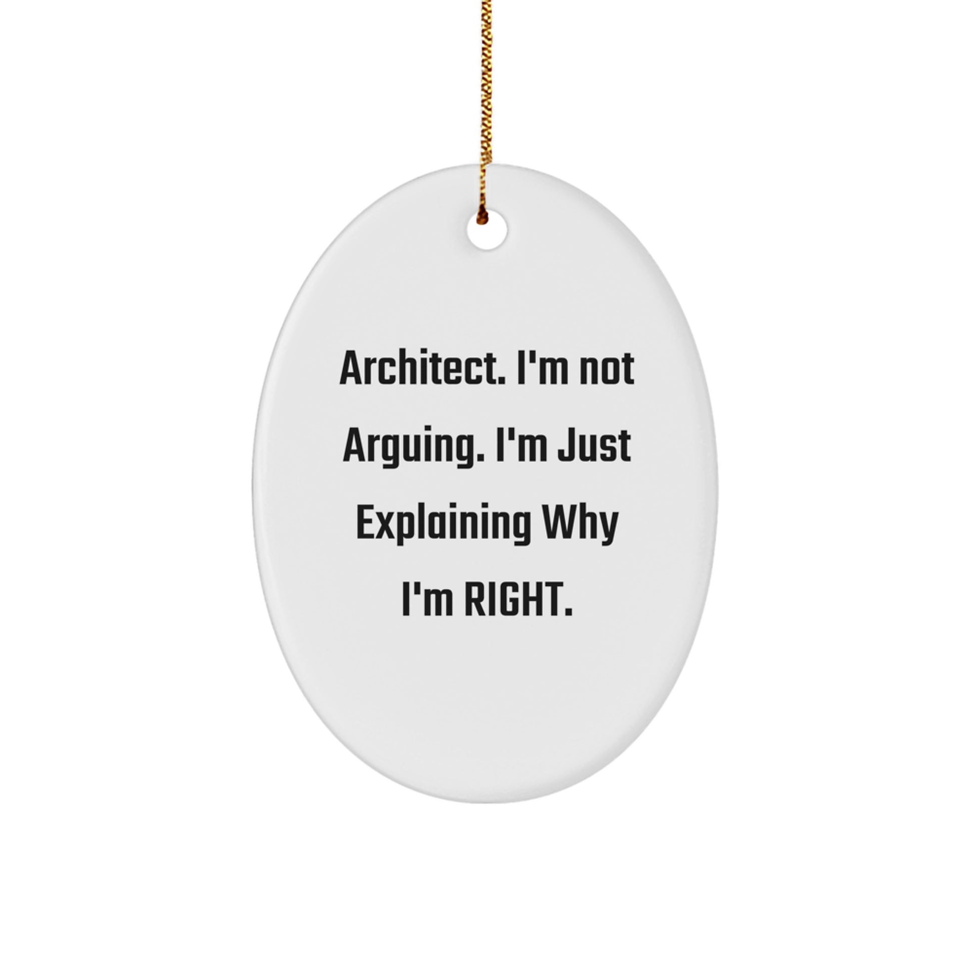 Architect Gifts, Christmas Unique Oval Ornament, 'I'm Not Arguing...' Funny Quote, Gifts from Family, for Architect - Image 1