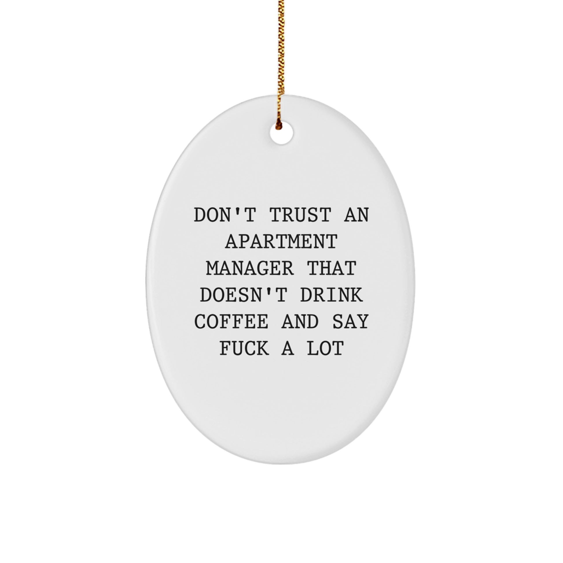 Funny Apartment Manager Gifts from Friends - Oval Ornament, 'Don't Trust...' Quote, Christmas Unique Gifts - Image 1