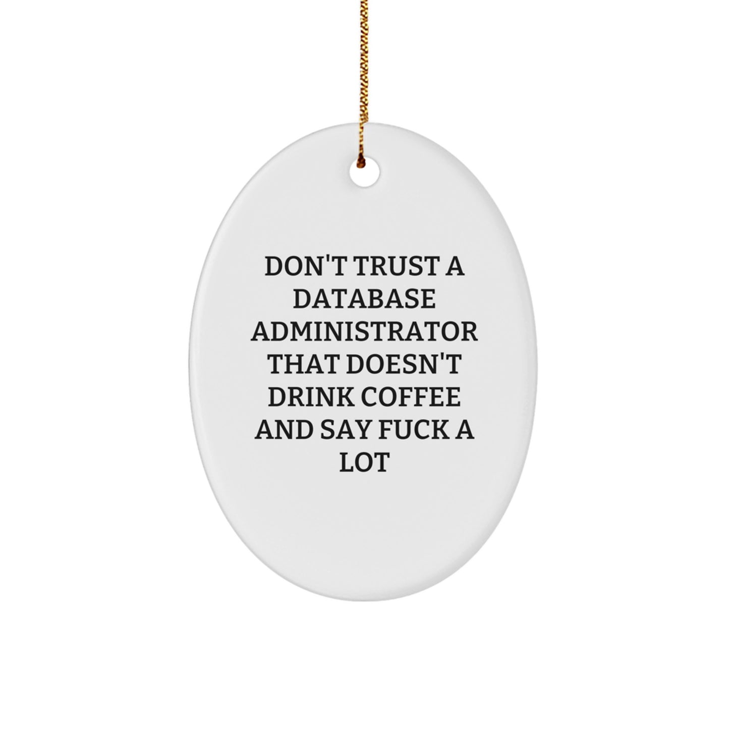 Funny Database Administrator Gifts from Friends - Don't Trust Oval Ornament for Christmas - Image 1