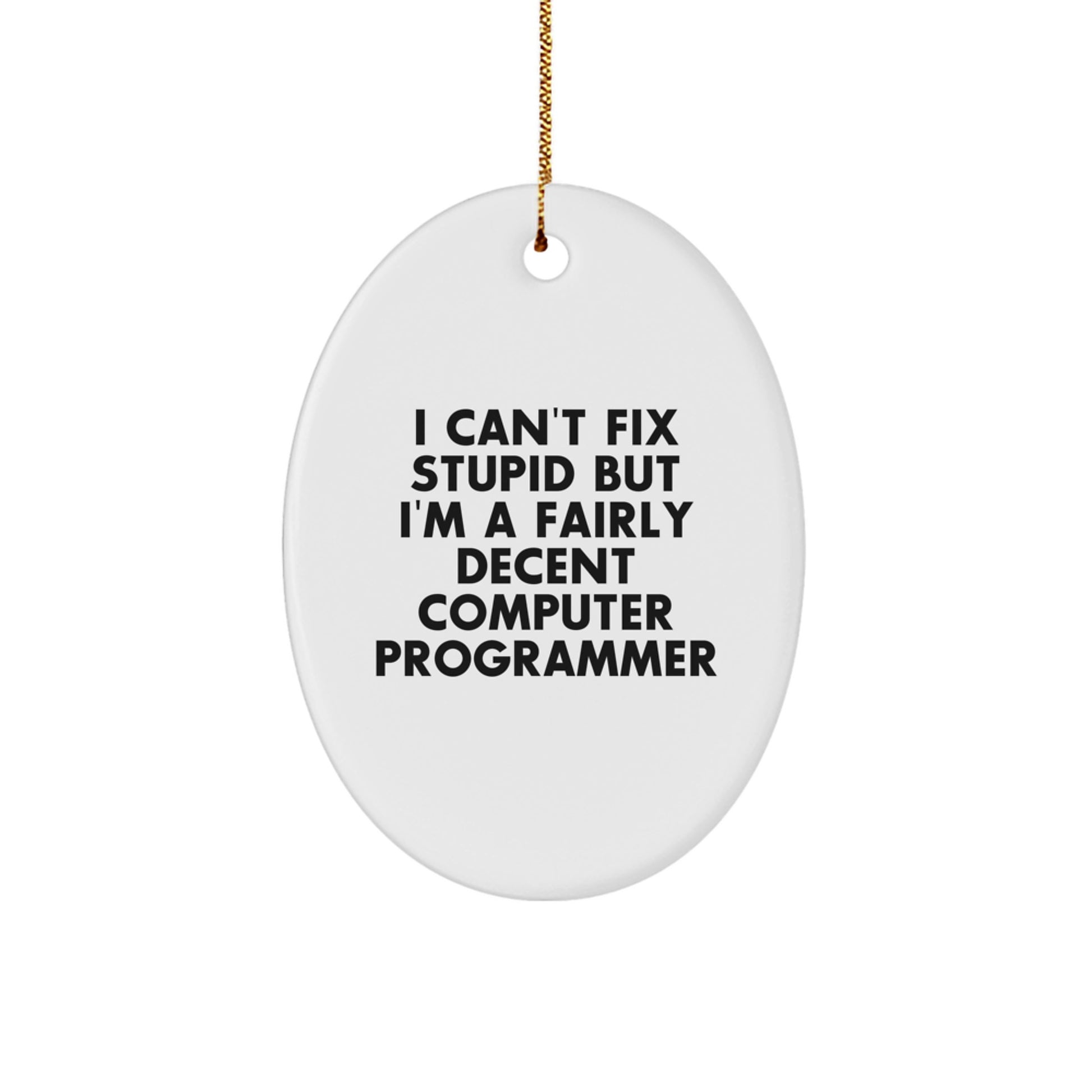 Computer Programmer Gifts, Funny Quote, Oval Ornament, Gifts from Friends for Computer Programmer, Perfect Christmas Unique Gift Ideas - Image 1