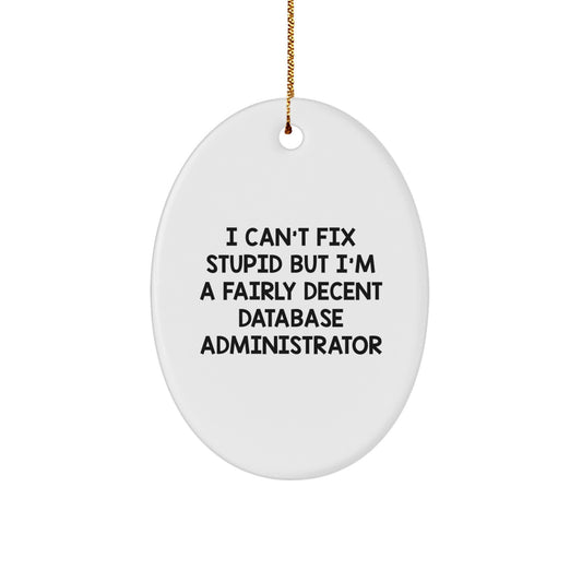 Funny Database Administrator Oval Ornament Gifts from Friends, Coworkers - 'I Can't Fix Stupid But I'm A Fairly Decent Database Administrator' Christmas Unique Gifts for Men, Women, Coworkers - Image 1