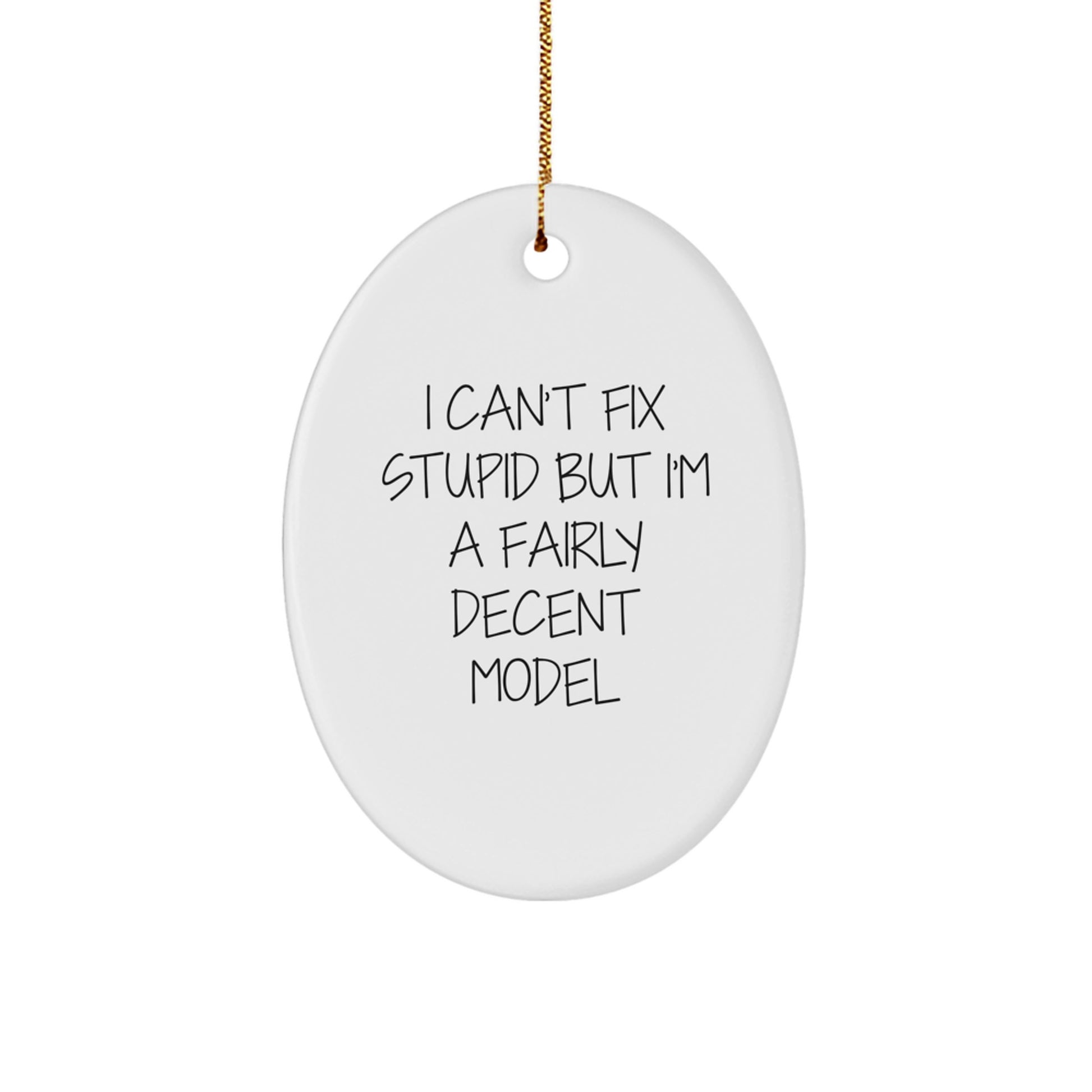 Model Gifts from Family and Friends - I Can't Fix Stupid But I'm A Fairly Decent Oval Ornament, Funny Christmas Decor - Image 1
