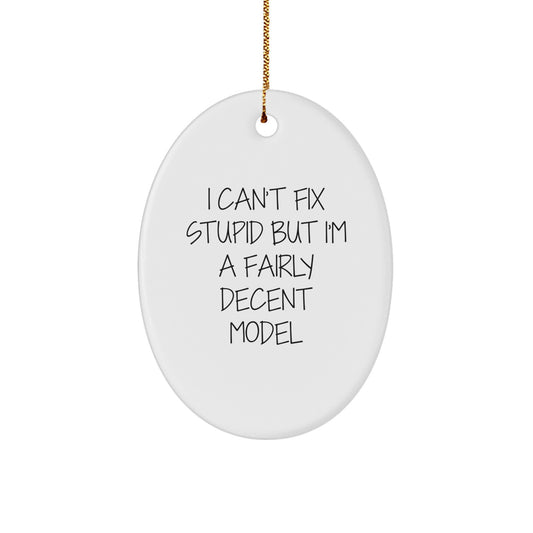 Model Gifts from Family and Friends - I Can't Fix Stupid But I'm A Fairly Decent Oval Ornament, Funny Christmas Decor - Image 1