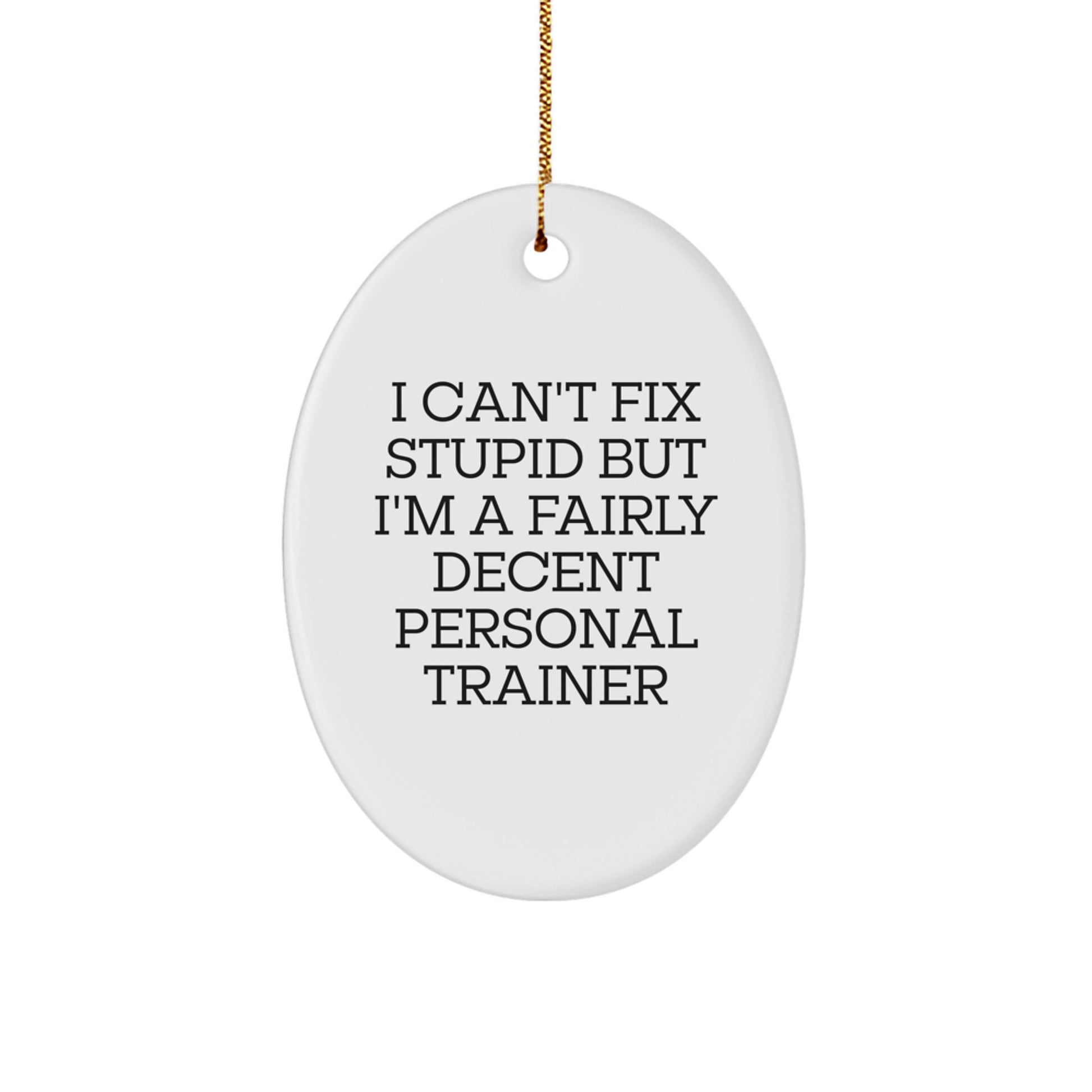 Funny Personal Trainer Gifts from Friends for Christmas, Oval Ornament, 'I Can't Fix Stupid But I'm A Fairly Decent Personal Trainer' - Image 1