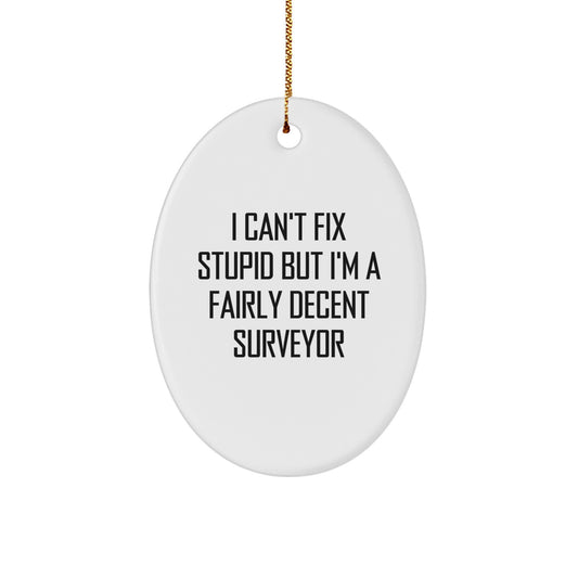 Funny Surveyor Gifts for Men, Oval Ornament with 'I Can't Fix Stupid But I'm A Fairly Decent Surveyor' Quote, Gifts from Husband, Christmas Unique Gifts for Surveyor - Image 1