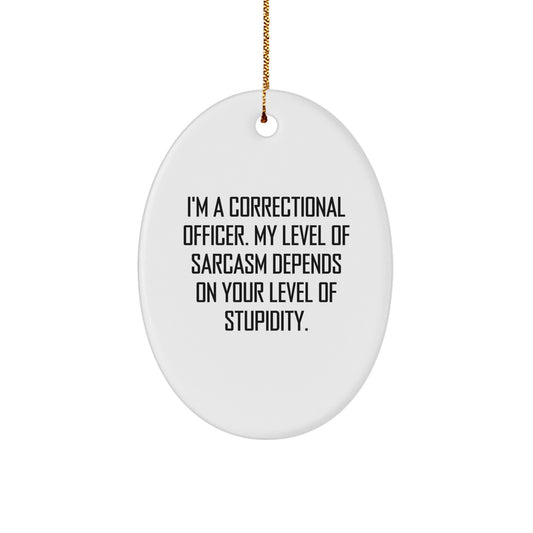 Funny Correctional Officer Gifts from Friends for Men - Oval Ornament with 'I'm A Correctional Officer. My Level Of Sarcasm Depends On Your Level Of Stupidity.' - Christmas Unique Gifts - Image 1
