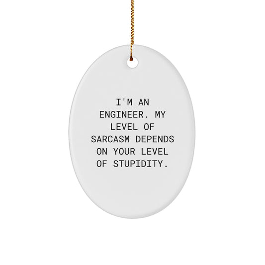 Funny Engineer Gifts from Friends for Christmas - I'm An Engineer Oval Ornament, Sarcasm Level Depends on Stupidity - Image 1