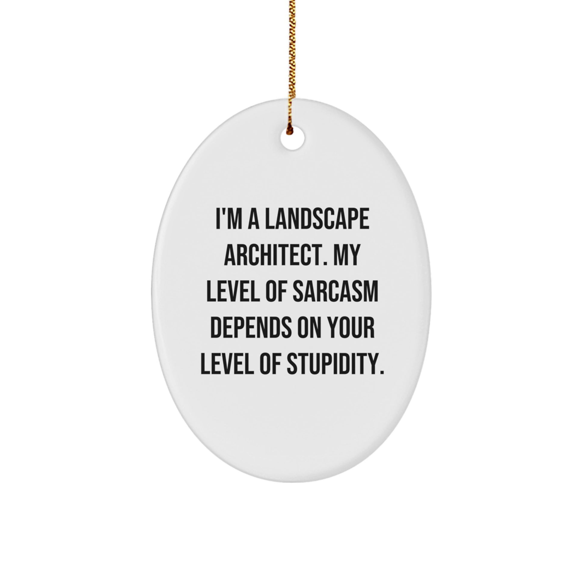 Landscape Architect Gifts, Funny Quote Oval Ornament, Christmas Unique Gifts from Friends, for Landscape Architects - Image 1