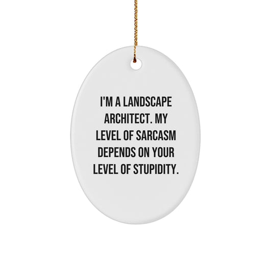 Landscape Architect Gifts, Funny Quote Oval Ornament, Christmas Unique Gifts from Friends, for Landscape Architects - Image 1