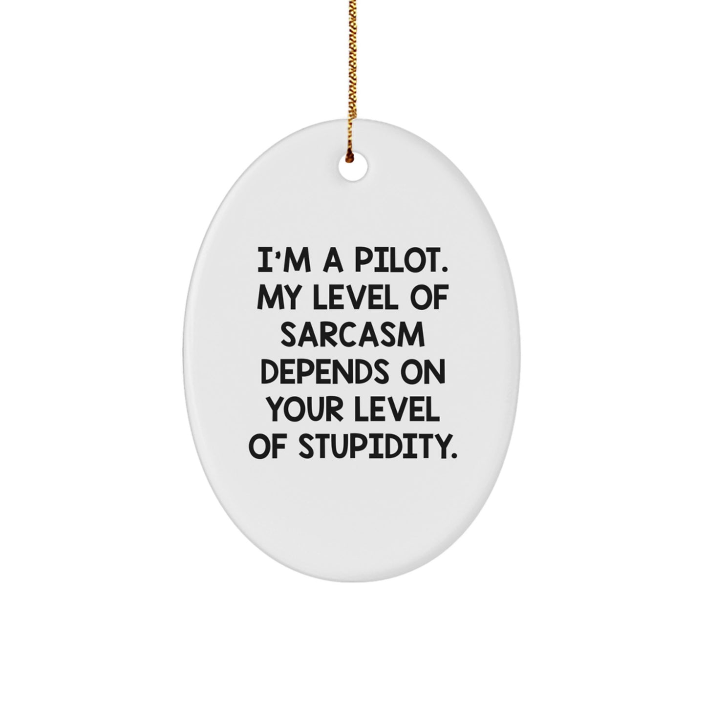 Pilot Gifts from Friends - Funny 'I'm A Pilot' Oval Ornament for Christmas - Image 1