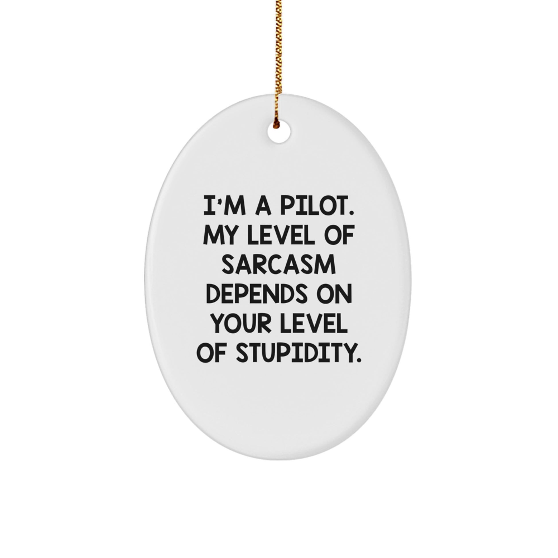 Pilot Gifts from Friends - Funny 'I'm A Pilot' Oval Ornament for Christmas - Image 1
