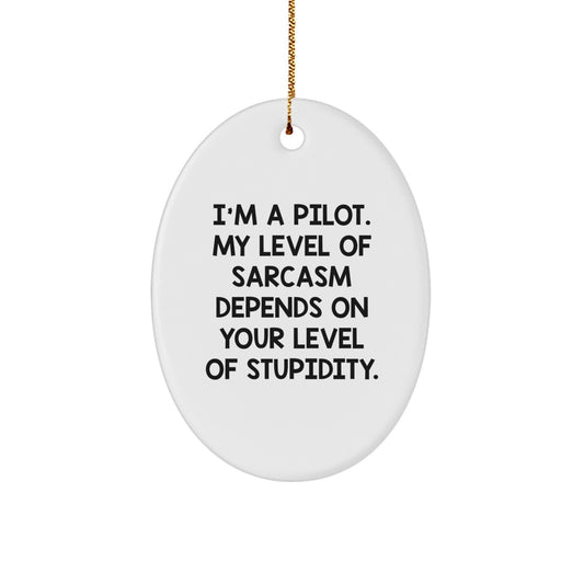 Pilot Gifts from Friends - Funny 'I'm A Pilot' Oval Ornament for Christmas - Image 1
