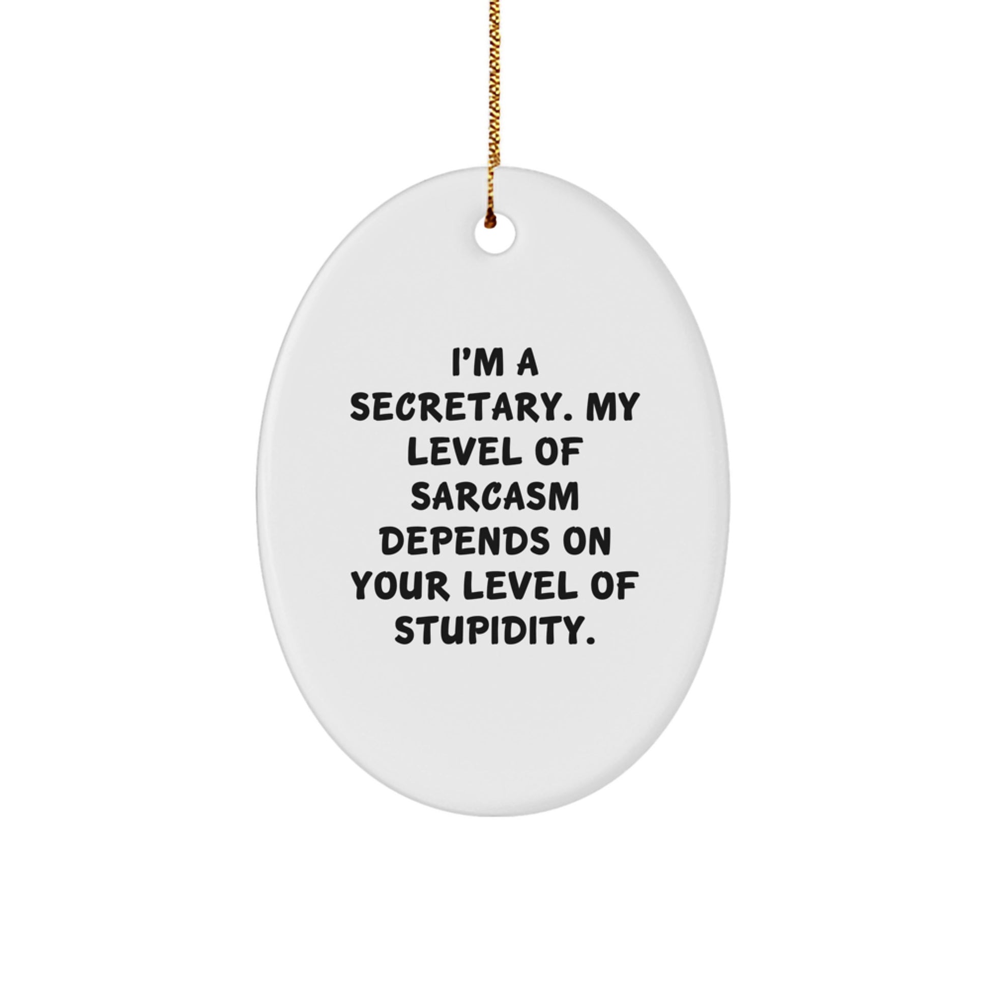 Funny Secretary Oval Ornament with Sarcasm Humor, Gifts from Friends for the Office, Christmas Unique Decorations for Secretary - Image 1