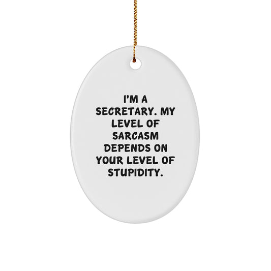 Funny Secretary Oval Ornament with Sarcasm Humor, Gifts from Friends for the Office, Christmas Unique Decorations for Secretary - Image 1