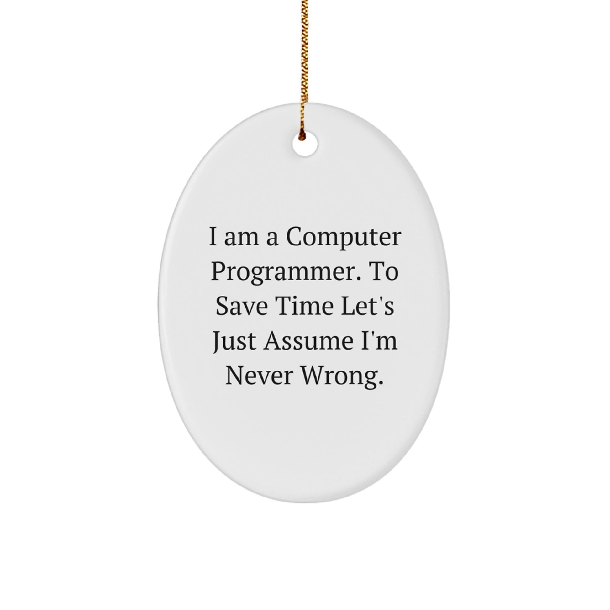 Funny Computer Programmer Gifts from Friends - Oval Ornament with 'I Am A Computer Programmer. To Save Time Let's Just Assume I'm Never Wrong.' Quote, Perfect for Christmas - Image 1