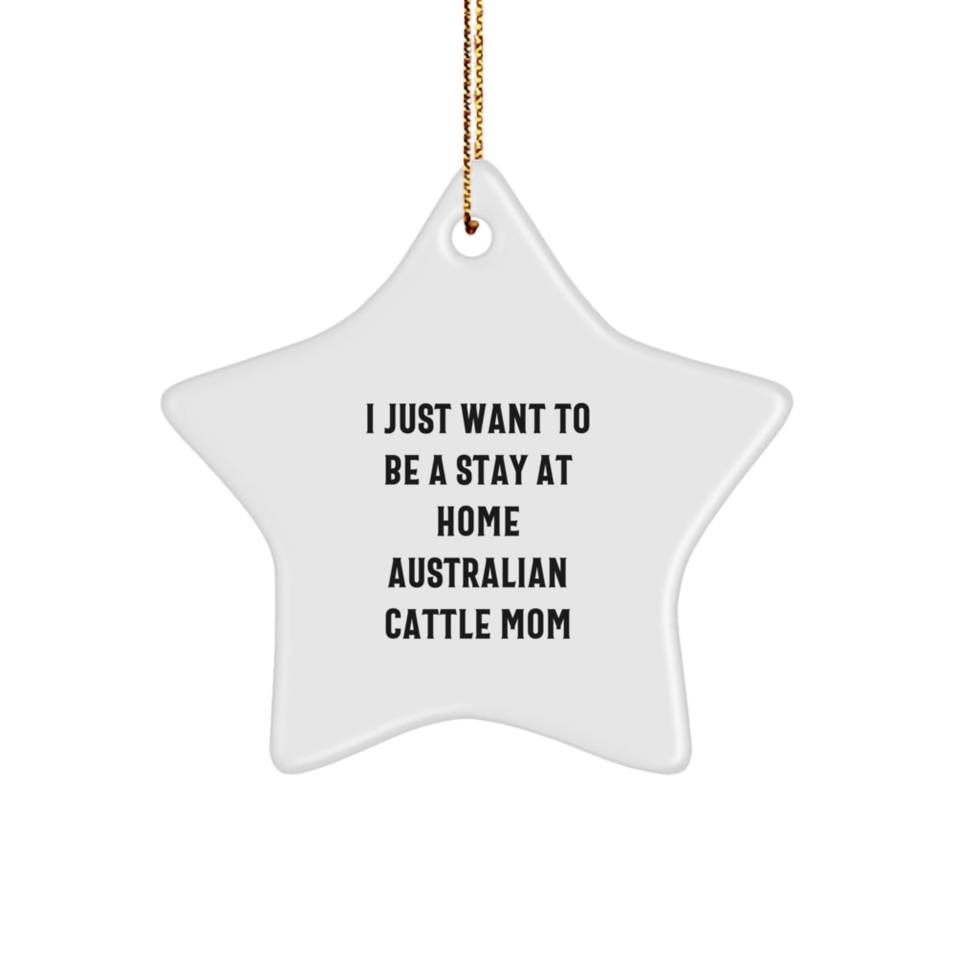 Australian Cattle Dog Mom's Funny Star Ornament Gifts from Friends for Christmas - Image 1