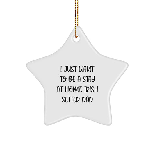 Irish Setter Dad's Funny Christmas Unique Gift, 'I Just Want To Be A Stay At Home Irish Setter Dad', White Star Ornament, Gifts from Men to Friends - Image 1