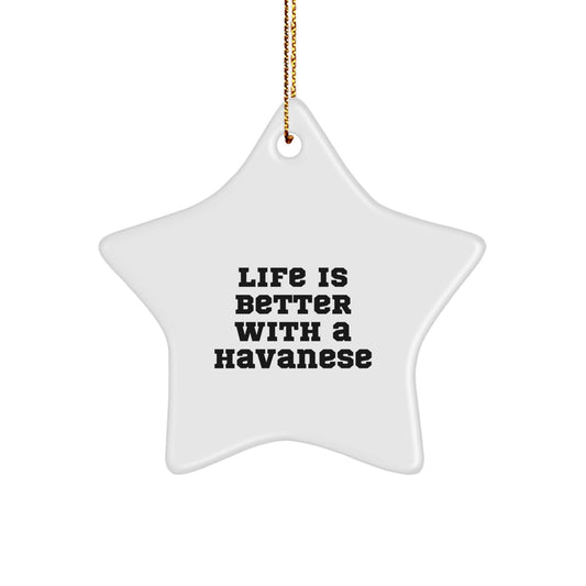 Funny Havanese Dog Gifts for Friends - Star Ornament with 'Life Is Better With A Havanese' Quote, Gifts from Family, Christmas Unique Gifts for Havanese Dog Lovers - Image 1