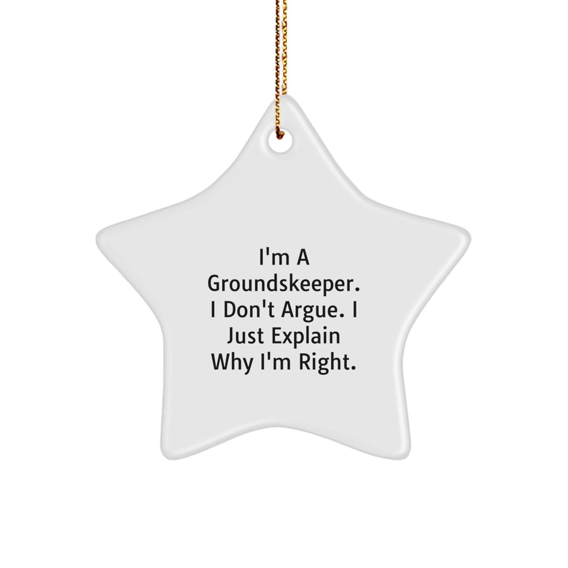 Funny groundskeeper Gifts - 'I'm A groundskeeper, I Don't Argue' Star Ornament for Men, Women, Friends, Coworkers, Family - Christmas Unique Gifts from Friends - Image 1