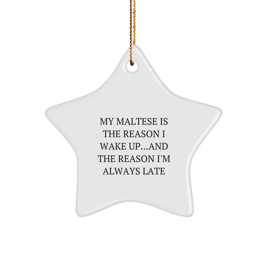 Funny Maltese Dog Gifts for Christmas with Star Ornament - Gifts from Friends and Family - Image 1