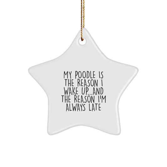 Funny Poodle Dog Owner Gifts from Men to Friends for Christmas Unique Star Ornament - Image 1